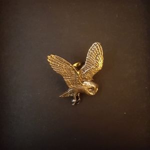 🕸5 for $25🕸Owl pin